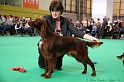 Crufts2011 153